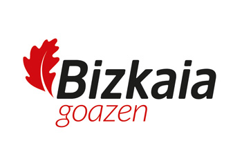 logo-diputacion-bizkaia
